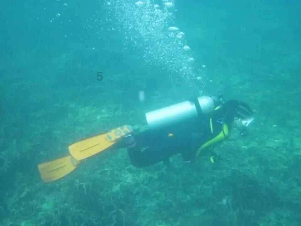 探索蜗牛世界，尽在课堂上怎样月引入人类命运共同体问答平台